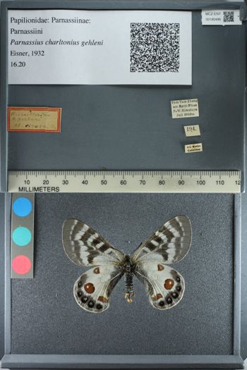 Media type: image;   Entomology 180496
